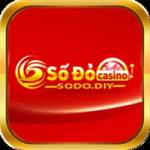 sodo diy Profile Picture