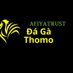 Đá Gà Trực Tiếp Thomo Profile Picture