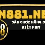 N88 Profile Picture