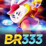 BR 333 Profile Picture