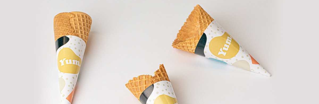 The Cone Sleeve Cover Image