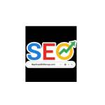 bayareaseogroup Profile Picture