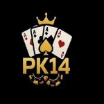 PK14 Profile Picture