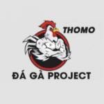 ĐÁ GÀ TRỰC TIẾP THOMO Profile Picture