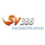 SV388 Profile Picture