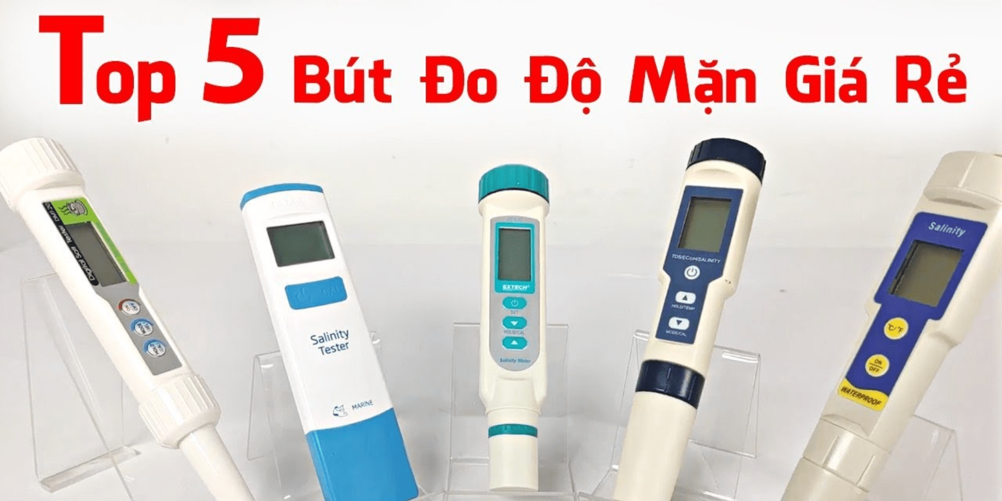 maydodomanthb Cover Image