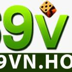 69vn how Profile Picture