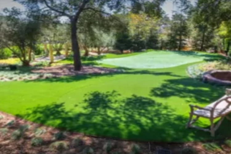 Back Nine Greens Cover Image