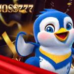 JOSS777 Profile Picture