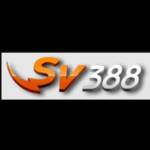 SV388 Sân chơi cá cược đá gà Thomo đẳng cấp 2025 Profile Picture