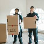 jet removals Profile Picture