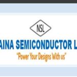 Naina Semiconductor Profile Picture