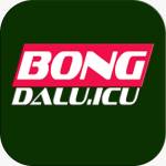bongdalu icu Profile Picture