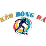 Kèo bóng đá VIP 24h Profile Picture