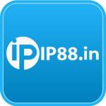 ip88in Profile Picture