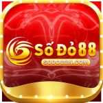 sodo88n sodo88n Profile Picture