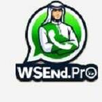 wsend Profile Picture