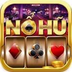 nohulive co Profile Picture