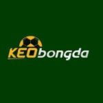 Kèo Bóng Đá Profile Picture