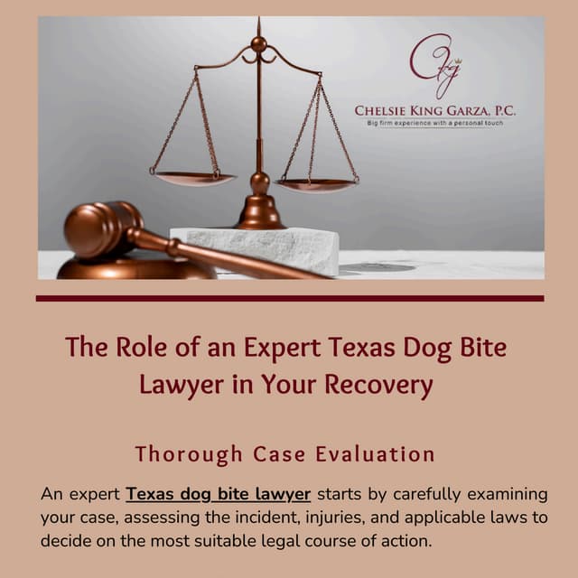 The Role of an Expert Texas Dog Bite Lawyer in Your Recovery | PDF