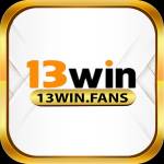 13winfans Profile Picture