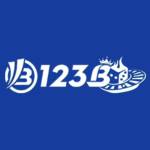 123B Cricket Profile Picture