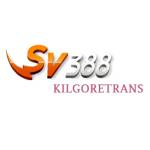 SV388 Profile Picture