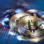 Switch Evex Sys Trading Profile Picture