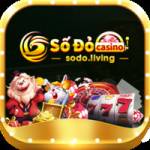 sodo living Profile Picture