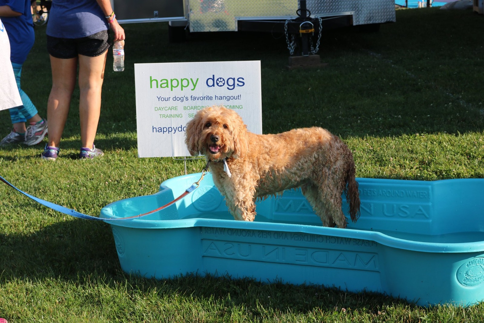 Happy Dogs Cover Image
