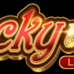 Luckywin Profile Picture