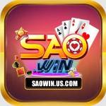 SAOWIN US Profile Picture