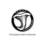 Tamas champignons Profile Picture