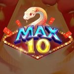 Tải Game MAX 10 Profile Picture