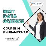 best data science course in bhubaneswar Profile Picture
