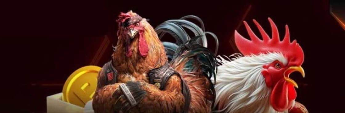 Đá gà Thomo trực tiếp Cover Image