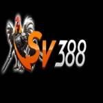 sv388 date Profile Picture