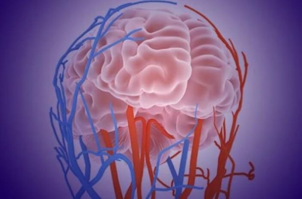 Discovering the Best Neurologist in Ahmedabad Through Reviews Article - ArticleTed -  News and Articles
