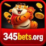 345 bet Profile Picture
