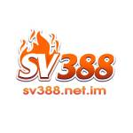 sv388 netim Profile Picture