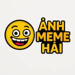 Ảnh Meme Hài Profile Picture