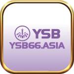 YSB66 ASIA Profile Picture