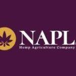 Nap limited Profile Picture