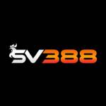 ismusicsv388 Profile Picture