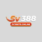 sv388t6online Profile Picture