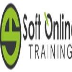 Soft Online Training Profile Picture