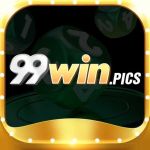 99winpics Profile Picture
