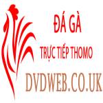 Đá Gà Trực Tiếp Thomo Profile Picture