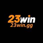 23wingg Profile Picture