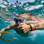 Shark Deterrent Band Profile Picture
